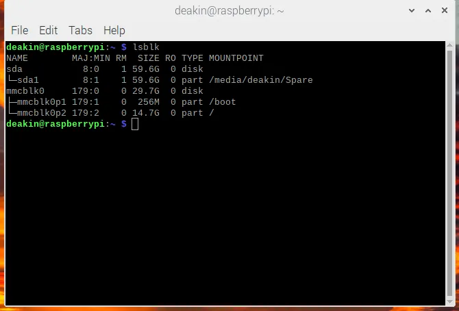Screen shot of the output of the lsblk command